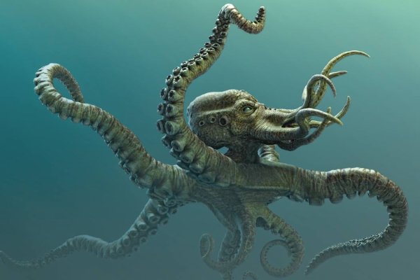 Замена hydra