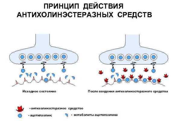Кракен маркет супернет только через тор