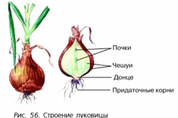 Кракен ориг ссылка